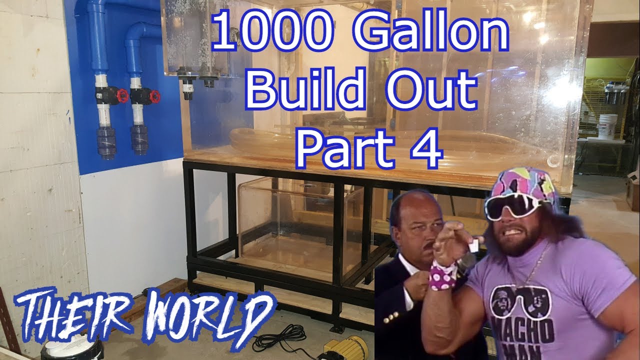 HUGE Aquarium/Tank 1000 Gallon Aquarium Build Out Part 4 YouTube