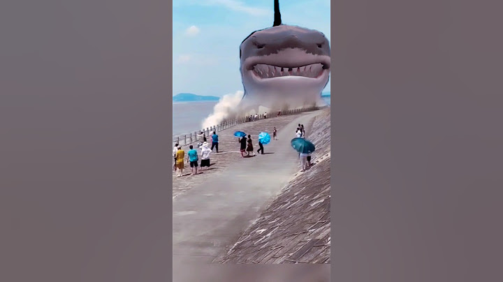 tubarão gigante na praia  #tubarão