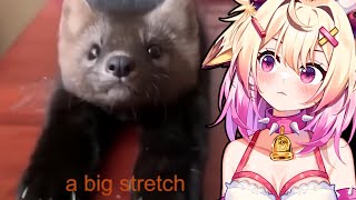 Dudes Being Dudes and Silly Pets, Rosiebellmoo Reacts To Unusual Memes