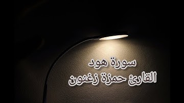 سورة هود، قراءة مريحة، القارئ حمزة زغنون🖤