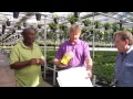 IPM Tips – Successfully Release Your Predators