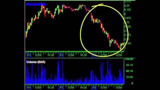 Tim Grittani Awesome Monthly Trading Recap Profile