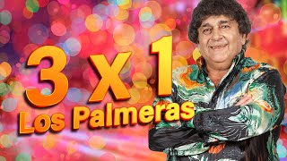 🎉 QUE SIGA EL BAILE CON LOS PALMERAS 🌴 3x1 Macumbia | Mi Medicina | Ámame 🌴