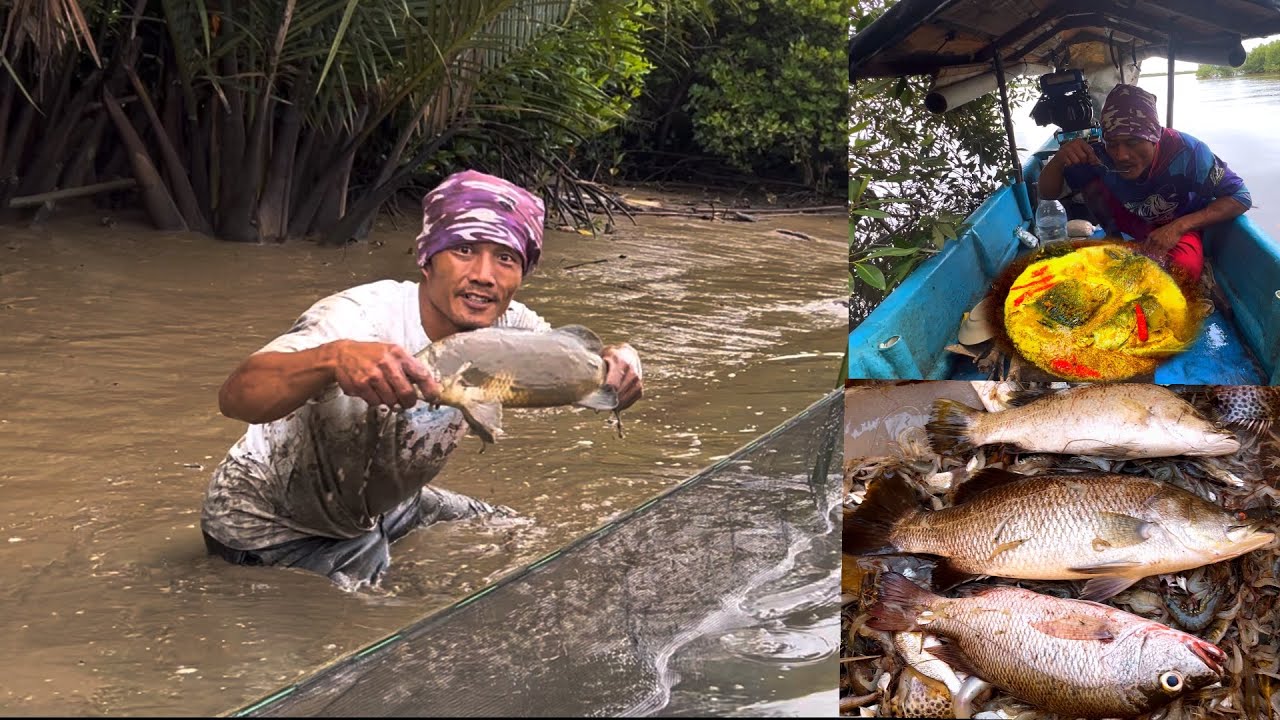 Pasang perangkap Bermalam dapat kakap besar Langsung Masak kakap kuah kuning