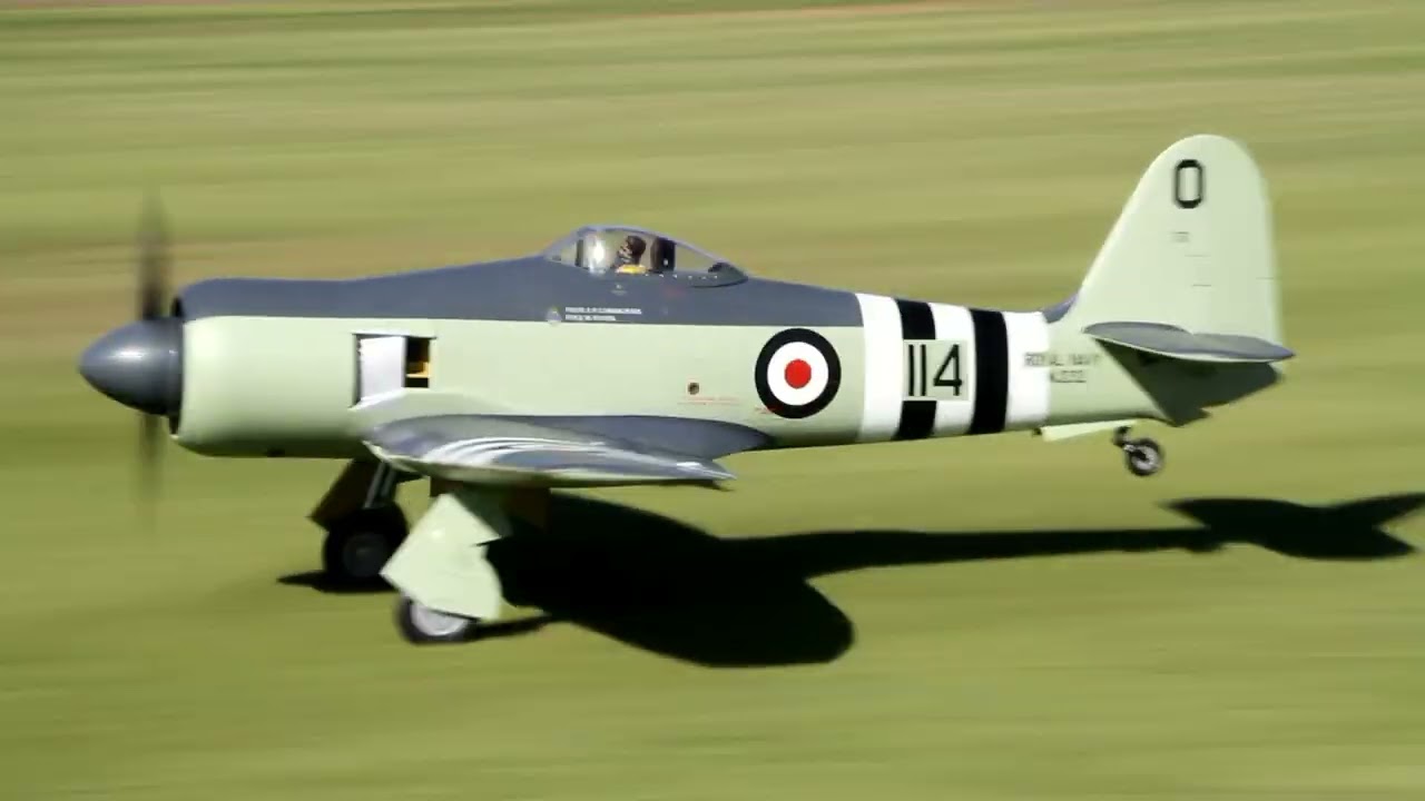 Vinnie's Seafury Maiden