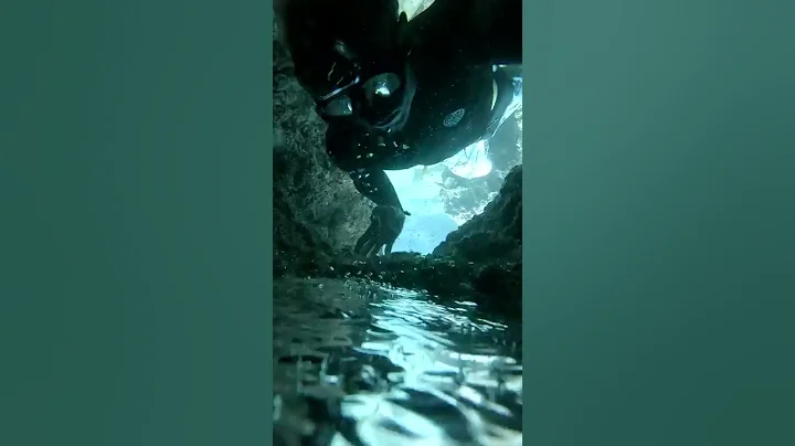 Diver discovers mysterious underwater puddle of unknown fluid #shorts