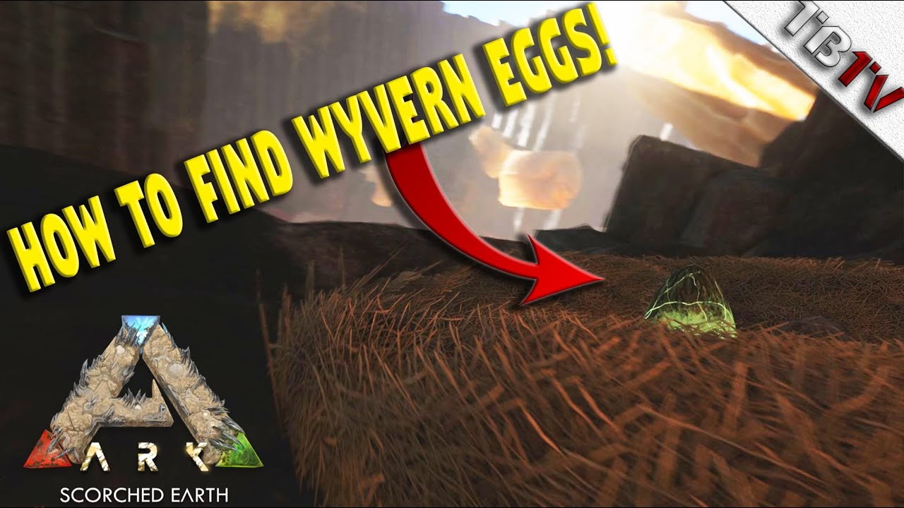 how to get a wyvern egg ark how to get a wyven ark scorched collecting wyvern eggs post flyers nerf