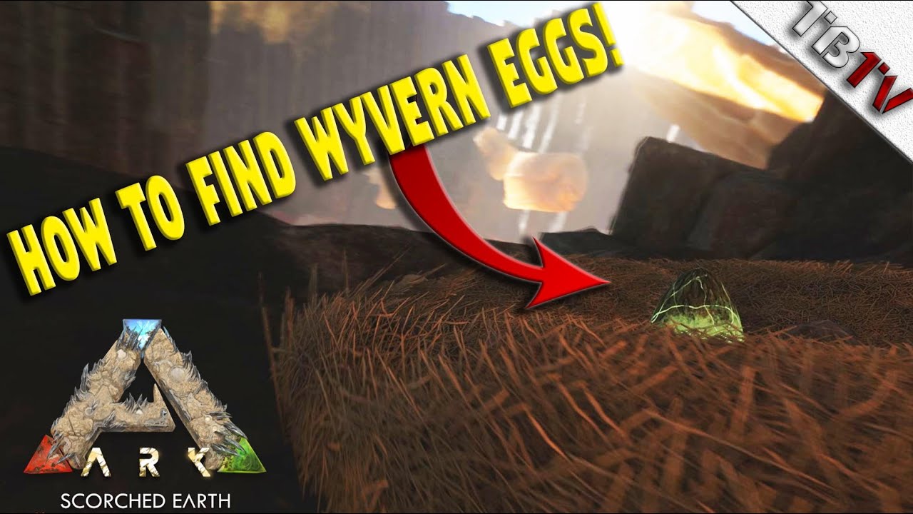 How To Get A Wyvern Egg Ark How To Get A Wyven Ark Scorched Earth Wyvern Egg backtv Youtube