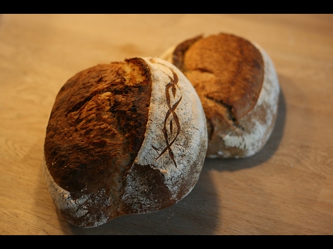 How to make a basic sourdough bread