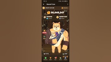 How to unlock 19 July Memefi Secret Tap Combo and get 500k memefi tokens All levels Code Solved