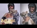 Maluma jugando con unos pequeños "gatitos" | MalumaVlogs