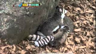 위기탈출 넘버원 - Crisis escape No  1 20120402 # 011