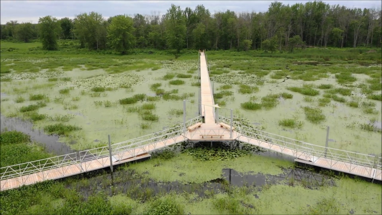 SEPAQ - Parc national de Plaisance | Passerelle conçue par Rousseau Lefebvre (Crédit vidéo : Sépaq)