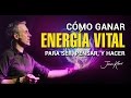 Cómo ganar energía vital para ser, pensar y hacer by Jürgen Klarić