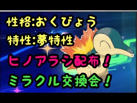 ヒノアラシ50体配布 おくびょう 夢特性付き ポケモンウルトラサンムーン ポケモンusum Youtube