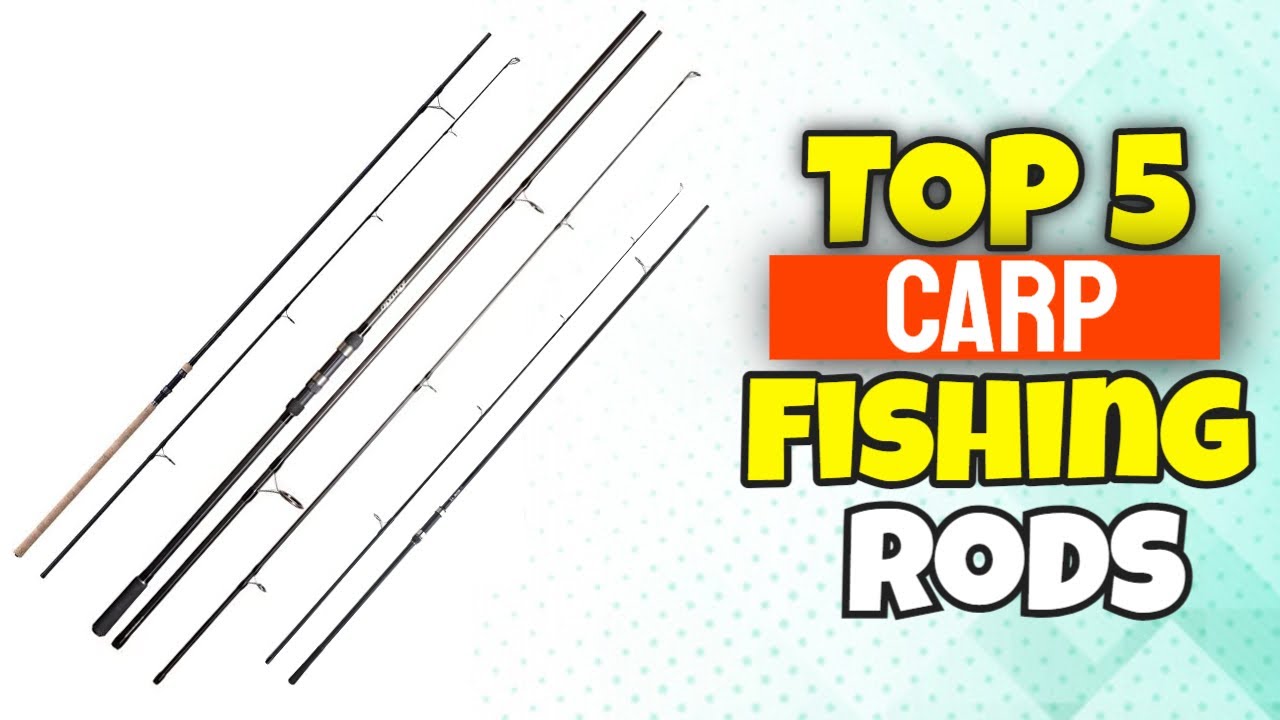 5 Best Carp Fishing Rods In 2022