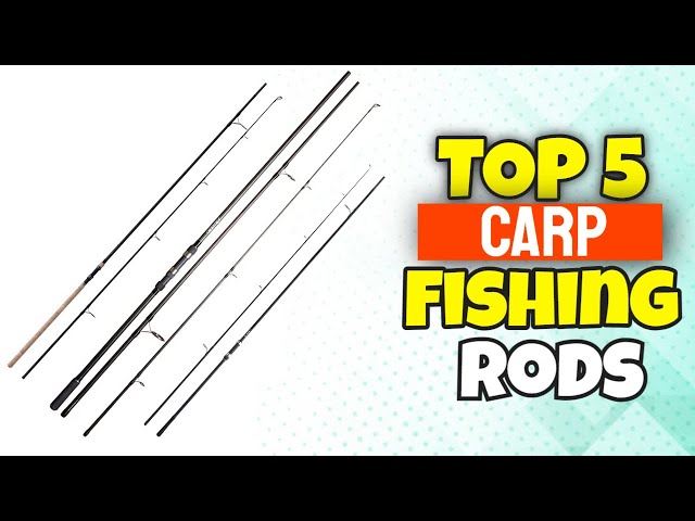 5 Best Carp Fishing Rods In 2022