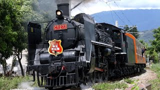 仲夏青空下,寶島縱谷中 2020仲夏寶島號 CT273蒸氣機關車 夏にまだ運行されている特別列車 SL仲夏宝島号 Steam Engine CT-273: Summer Formosa 2020