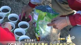 1020108大台中新聞-豐原中興里抵費地造花田