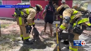 Over a dozen pets saved from Fort Lauderdale home fire, family displaced