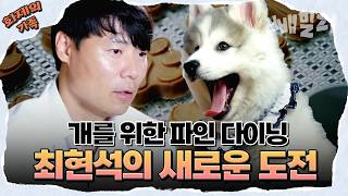 [#화제의가족] 흑백요리사? 아니, 오늘은 개밥 요리사👨‍🍳 최현석의 댕댕이를 위한 요리🐶🍽 | 개밥주는남자2