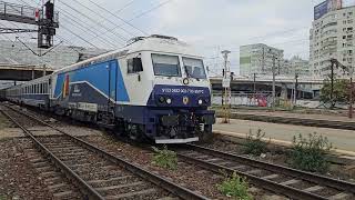 IR 1824 CU ELASMO 003 