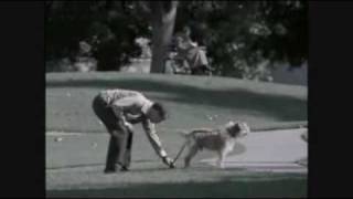 Dont Judge Too Quickly - Ameriquest