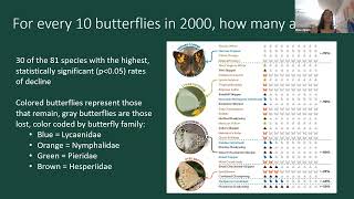 September Seminar: The Rapid Decline of Butterfly Abundance and Diversity in the United States