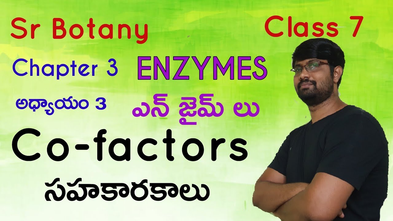 Co-factors | Sr Botany | Enzymes lesson |  Class 7
