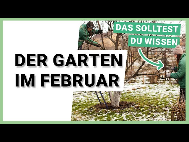 gurken dngen natrlich Gurken Dnger - Mineralischer NPK Flssigdnger mit Stickstoff
