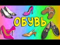 Обувь. Развиваем речь. Логопедическое занятие 0+