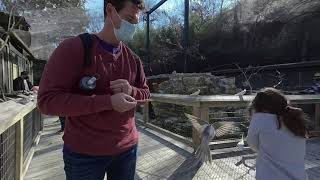 our daughter feeding some various birds in a large cage