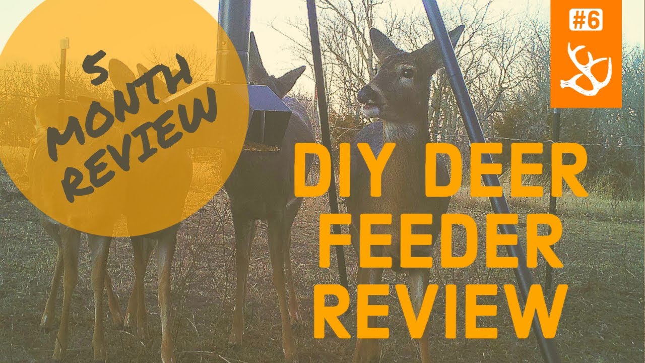 #6 - DIY Deer Feeder Review.