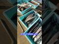 うお一番の魚が新鮮な理由とは