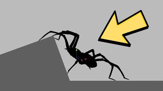 Procedural Spider (Unity) Showcase 2D