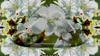 Azad Azerbaycan Tv - Reklam Jeneriği Nisan-2009