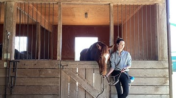 Self Haltering Tutorial