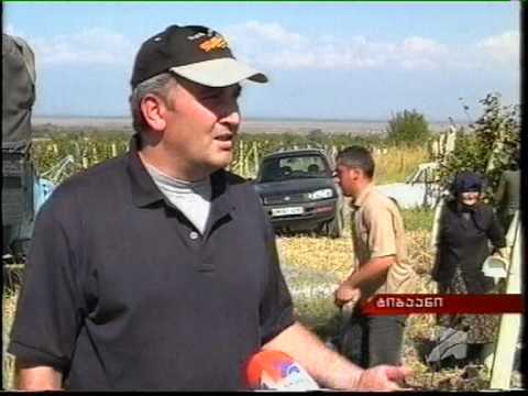 წმ. გიორგის სკოლა რთველში