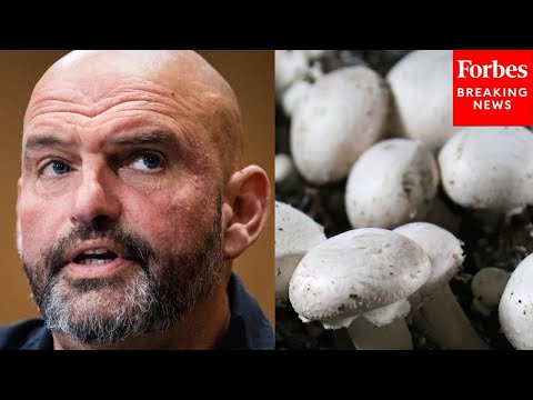 John Fetterman Discusses Crop Insurance For Mushroom Farmers