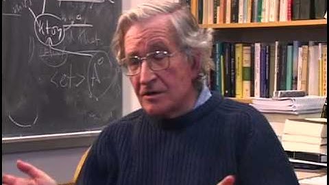 On Power Dissent and Racism - A Discussion with Noam Chomsky