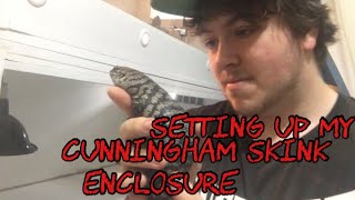 Setting up my Cunningham skinks enclosure