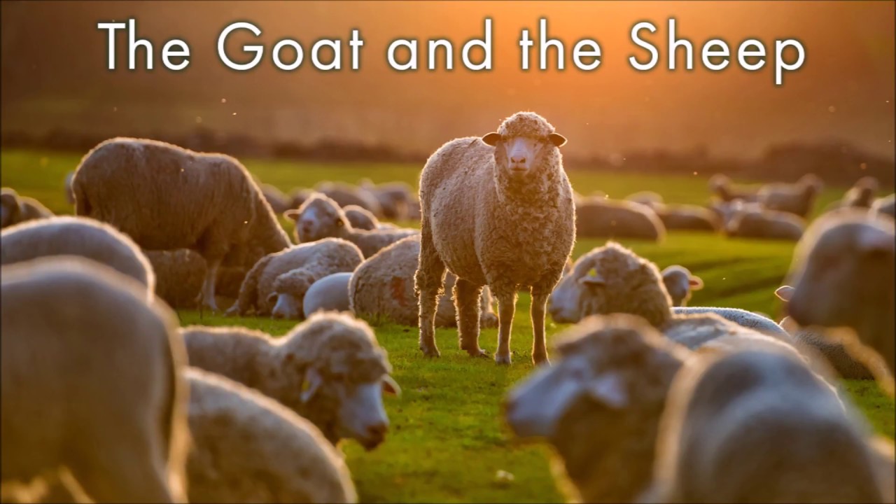 The Parable Of The Goat And The Sheep YouTube