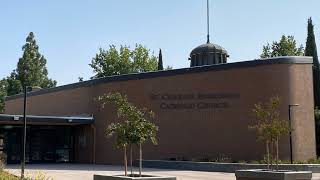 XXXIII Domingo ordinario