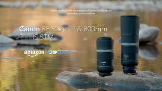 Canon RF 600mm F11 / 800mm F11 overview