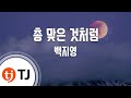TJ노래방 총맞은것처럼 백지영 TJ Karaoke TJ노래방 총맞은것처럼 백지영 TJ Karaoke