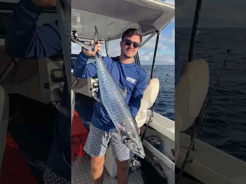 Good day out