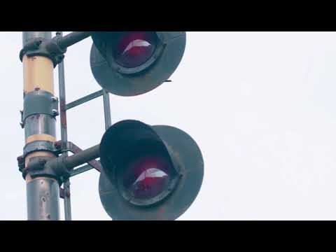 ただ君に晴れが全く気が付かないうちにサカナクションのモスになる