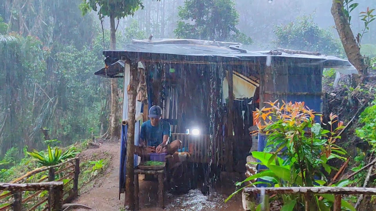 Mencekam 😱 Di Hantam Hujan Deras Setiap Hari - Tinggal Di pondok Hutan Mengurus Kebun