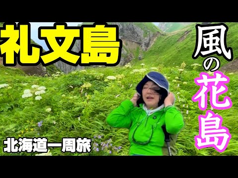 【北海道礼文島】最北限の離島絶景旅|感動で心震える最北端「花の浮島」