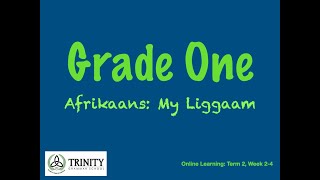 Grade 1: Afrikaans - My Liggaam